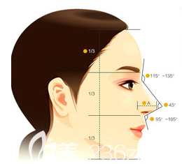 美鼻標(biāo)準(zhǔn)示意圖