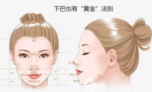 精致的下巴示意圖