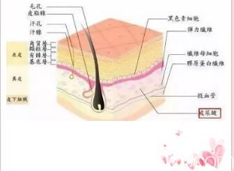 尿酸填充淚溝介紹