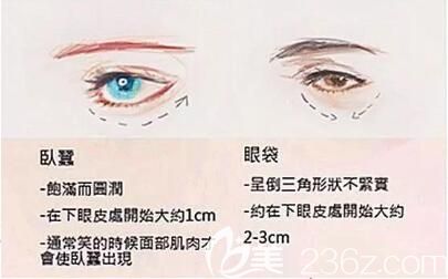 不規(guī)律的生活習(xí)慣也容易長(zhǎng)眼袋