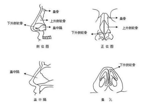 膨體隆鼻可改善鼻部不足