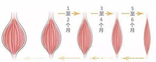 瘦臉注射一次維持的時(shí)間