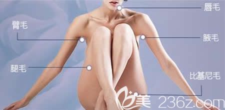 冰點(diǎn)脫毛適應(yīng)部位展示