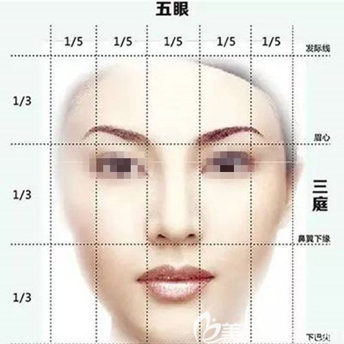 三庭五眼美學標準