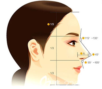 美鼻標(biāo)準(zhǔn)