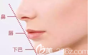 好看的下巴尺度