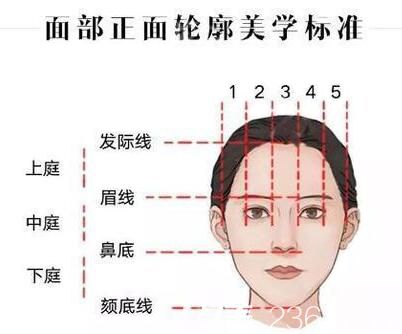 面部正面輪廓美學(xué)標(biāo)準(zhǔn)