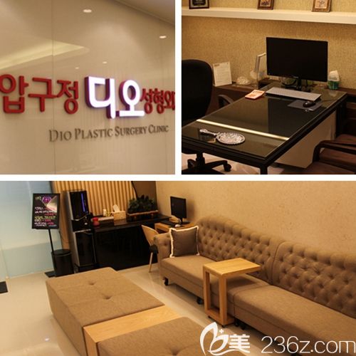韓國(guó)DIO整形醫(yī)院