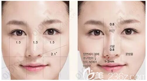 韓國艾恩鼻整形設(shè)計標準