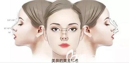 鼻部整形形態(tài)的黃金比例