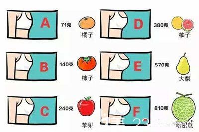 乳房不同大小的區(qū)別
