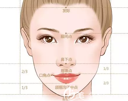 精致的面部輪廓示意圖