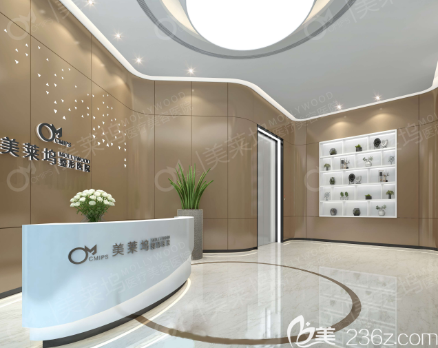 安徽阜陽東方美萊塢醫(yī)院前廳接待處