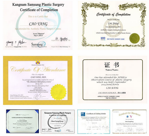 曹陽院長所獲部分榮譽證明 曹陽院長所獲部分榮譽證明