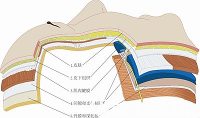 面部皮膚的多層次解析