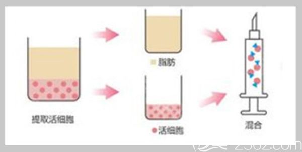 離心活化細(xì)胞操作流程 離心活化細(xì)胞操作流程