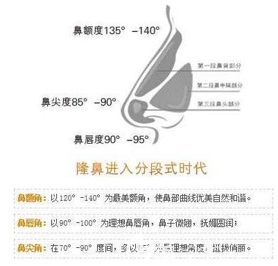 鼻部整形標(biāo)準(zhǔn) 鼻部整形標(biāo)準(zhǔn)