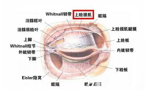 20191212_1576143387269828.jpg QQ截圖20191212143309.jpg