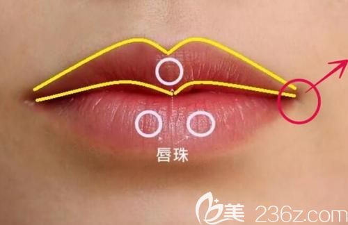 M唇的樣子 M唇的樣子