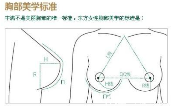 胸部美學(xué)標(biāo)準(zhǔn)示意圖 胸部美學(xué)標(biāo)準(zhǔn)示意圖