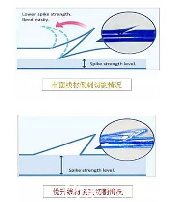 意大利悅升線的優(yōu)勢