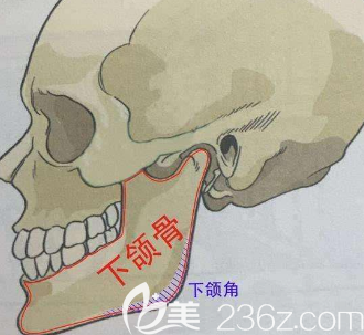 做下頜角手術(shù)時(shí)不容易出血反而術(shù)后前三天可能會(huì)滲出一點(diǎn)點(diǎn)血