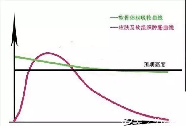 自體真皮的吸收曲線圖