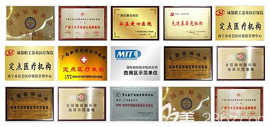 院內(nèi)所獲的各種榮譽證書 院內(nèi)所獲的各種榮譽證書