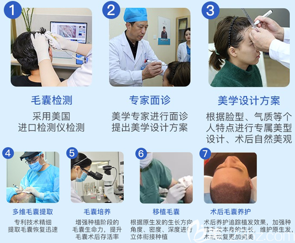 <!--<i data=20240703-sp></i>-->碧蓮盛植發(fā)流程透明清晰