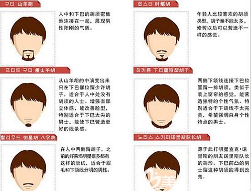 胡須種植的各個(gè)類型 胡須種植的各個(gè)類型