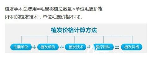 胡須種植費(fèi)用計(jì)算方法