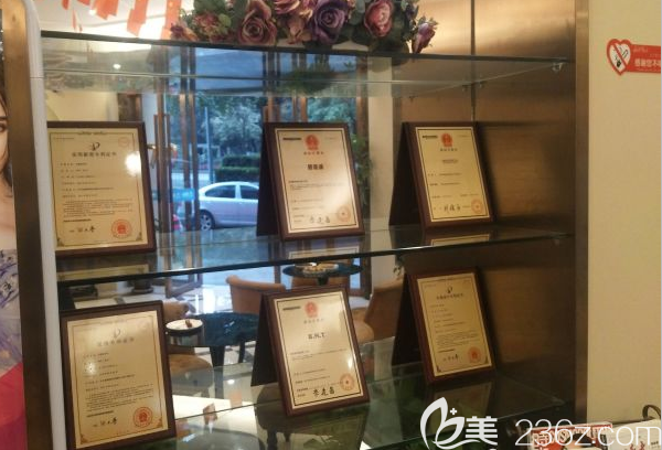 碧蓮盛獲得得各種榮譽(yù) 碧蓮盛獲得得各種榮譽(yù)