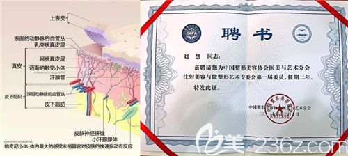 劉主任獲得的證書(shū)及注射原理 劉主任獲得的證書(shū)及注射原理