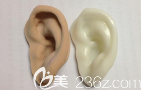 贗復(fù)體的耳朵 贗復(fù)體的耳朵