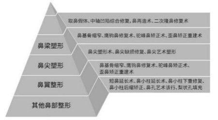 晏傳濤隆鼻技術(shù)特色