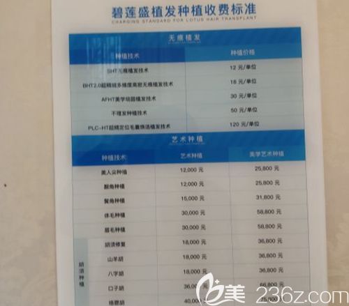 公開透明的毛發(fā)移植手術(shù)價格 公開透明的毛發(fā)移植手術(shù)價格