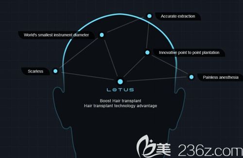 擅長BHT藝術(shù)種植技術(shù) 擅長BHT藝術(shù)種植技術(shù)