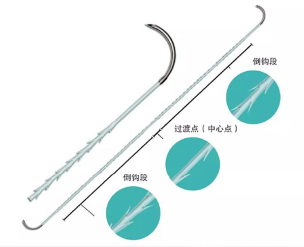 美國快翎線形狀 美國快翎線形狀