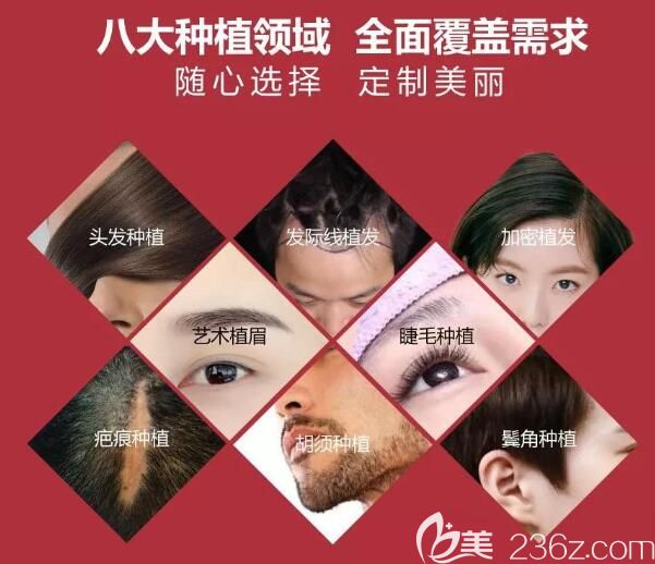 <!--<i data=20240703-sp></i>-->為您提供8項(xiàng)毛發(fā)移植服務(wù) <!--<i data=20240703-sp></i>-->為您提供8項(xiàng)毛發(fā)移植服務(wù)