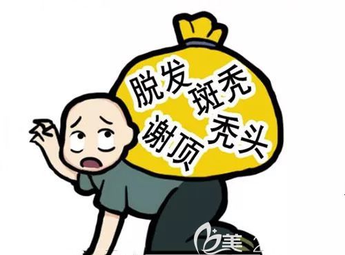 專業(yè)為發(fā)友解決各種脫發(fā)問題