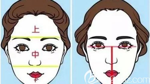 發(fā)際線種植的手術(shù)原理