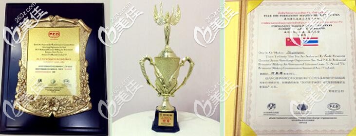 王蕾醫(yī)生所獲得的榮譽(yù)資質(zhì) 王蕾醫(yī)生所獲得的榮譽(yù)資質(zhì)