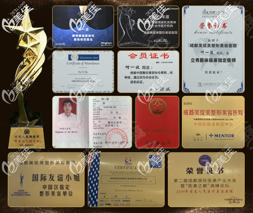 何院長(zhǎng)個(gè)人榮譽(yù)