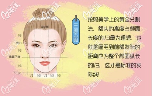 擅長發(fā)際線種植手術 擅長發(fā)際線種植手術