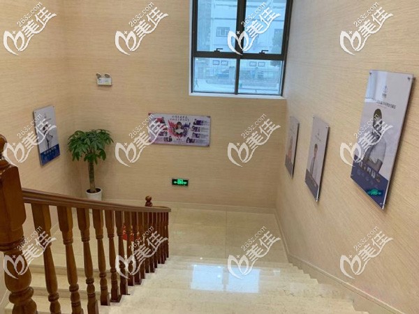 貴陽(yáng)碧蓮盛植發(fā)展示 貴陽(yáng)碧蓮盛植發(fā)展示