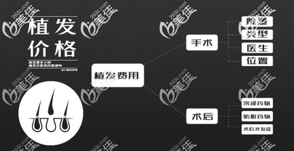 植發(fā)費用應(yīng)該計算手術(shù)費用和術(shù)后護理費用