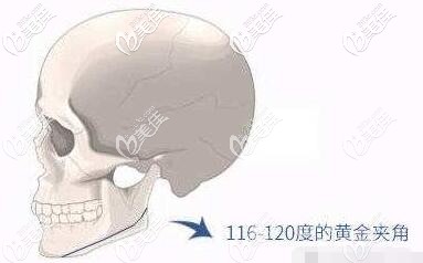 下頜角120度的黃金夾角