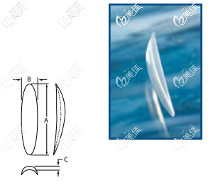 菲思挺Flowers Dorsal Nasal系列
