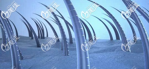 注重客戶的頭發(fā)養(yǎng)護(hù)治療