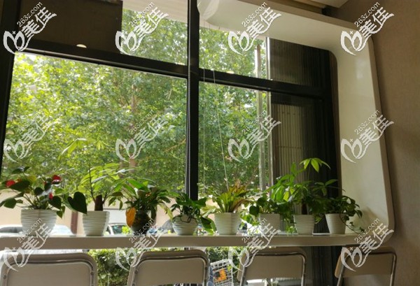 雅醫(yī)家部分環(huán)境圖